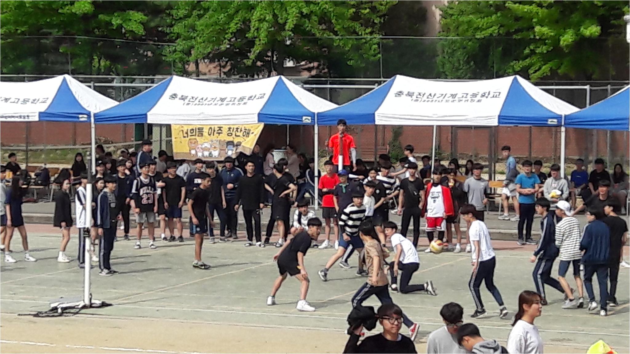 피구