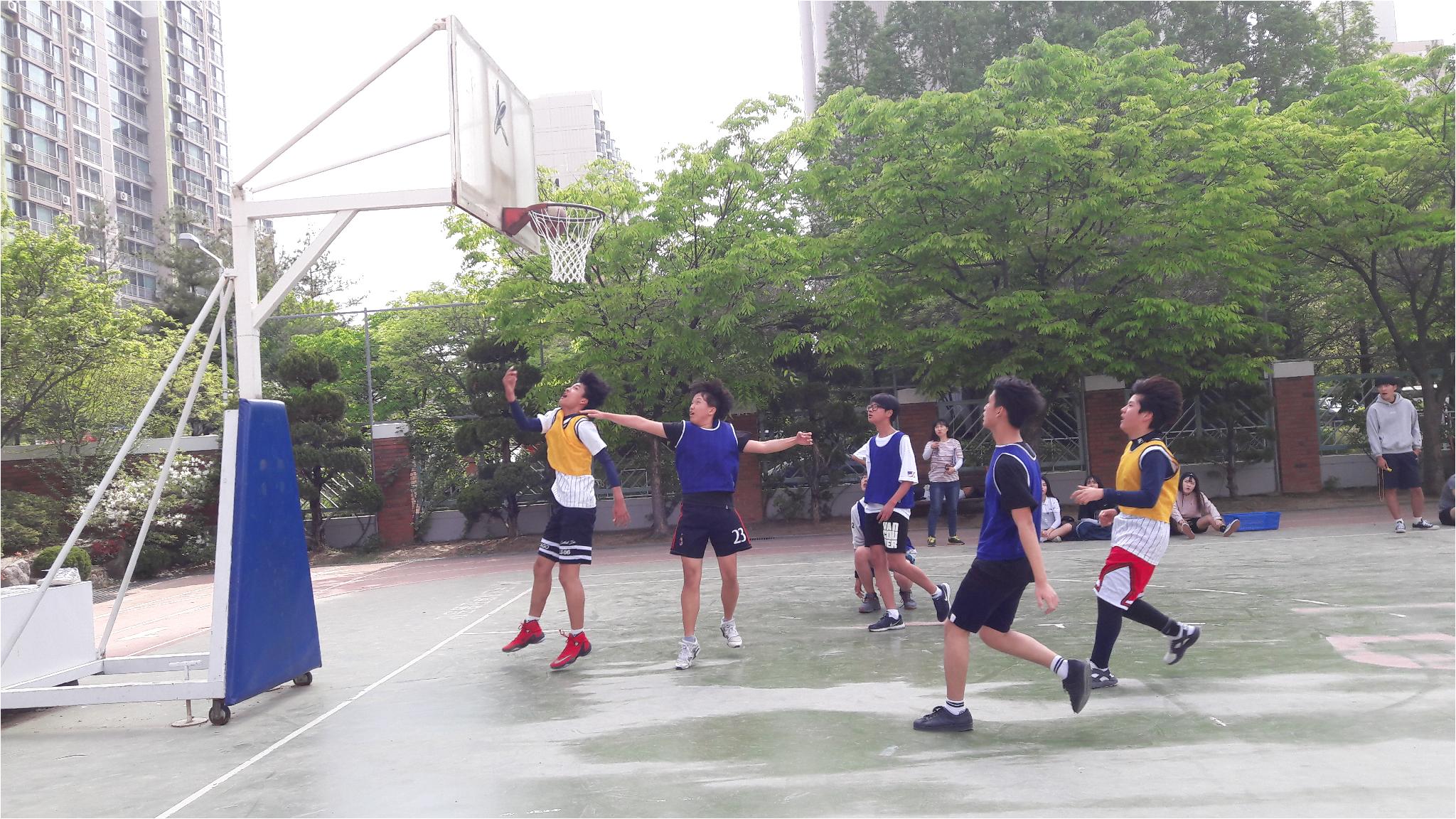 농구 