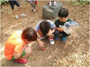 크기변환_20170626_095651.jpg