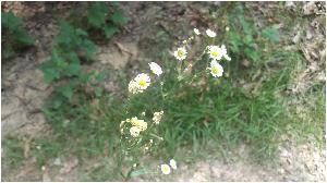 20170630_115819.jpg