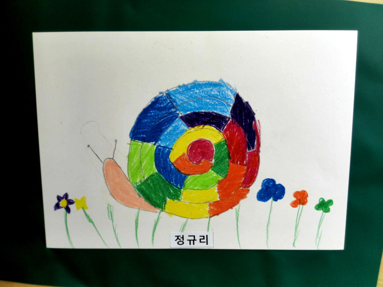 꾸미기_정규리