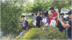 20170622_093309.jpg