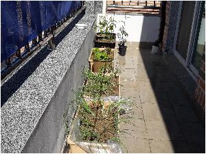 20170611_155322[1].jpg