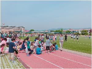 P20170530_105508991_AC689611-15B8-4B31-85D5-9D79CB719B8A.JPG