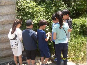 SDC14294.JPG