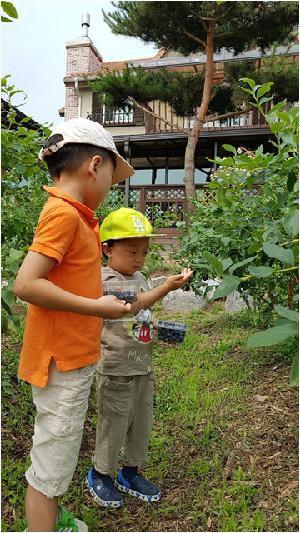 0629 블루베리농장 체험학습 (88).jpg