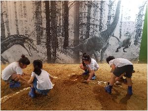20170621_113110.jpg