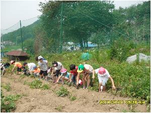 SDC13623.JPG