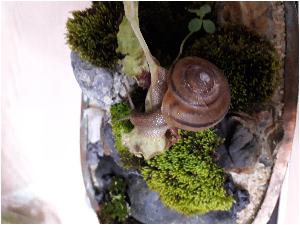 20170716_184815(0)[1].jpg