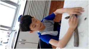 20170704_103139.jpg