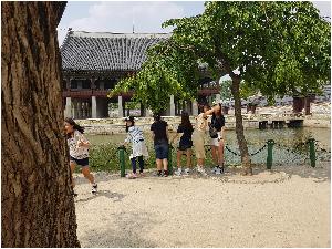 20170621_144050.jpg