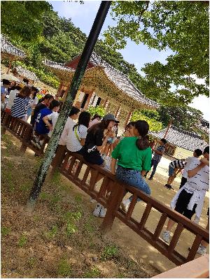 20170622_114607.jpg