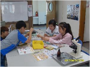 SDC14435.JPG