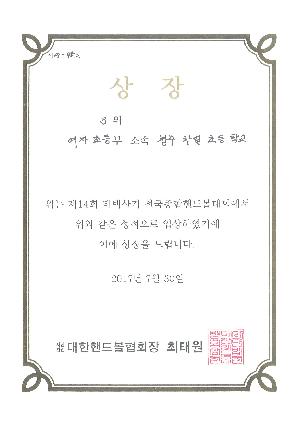 제14회 태백산4기 전국종합핸드볼대회.jpg