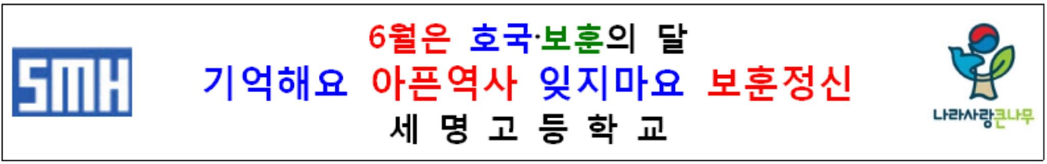 호국보훈의달현수막.jpg