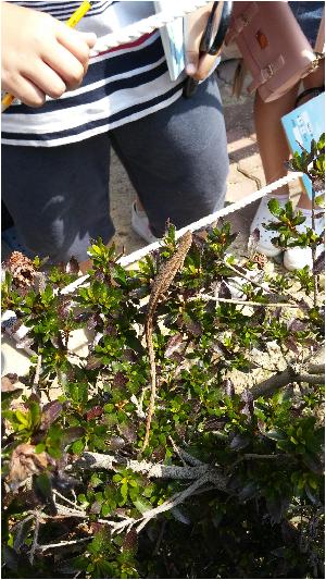 20170831_140057.jpg