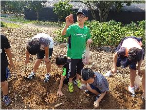 20170925_110224.jpg
