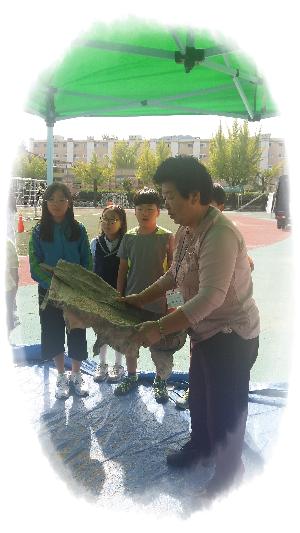 20170929_104943.jpg