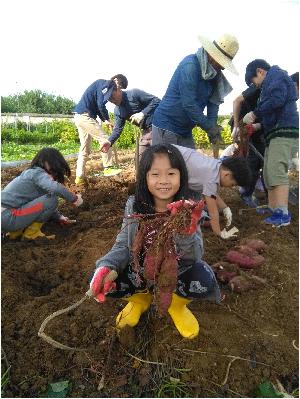 고구마1.jpg