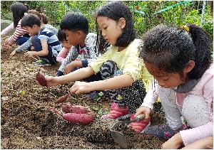 가덕초- 따뜻한 감성의 열매가 열렸어요 (1).jpg