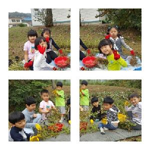 땅콩캐기포토1.jpg