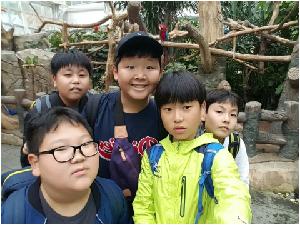 1509438461528.jpeg
