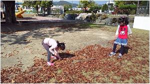 1017 구름 탐색 및 가을 산책 (13).jpg