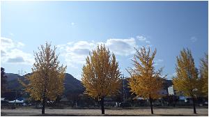1023 가을 들판 산책 (1).jpg