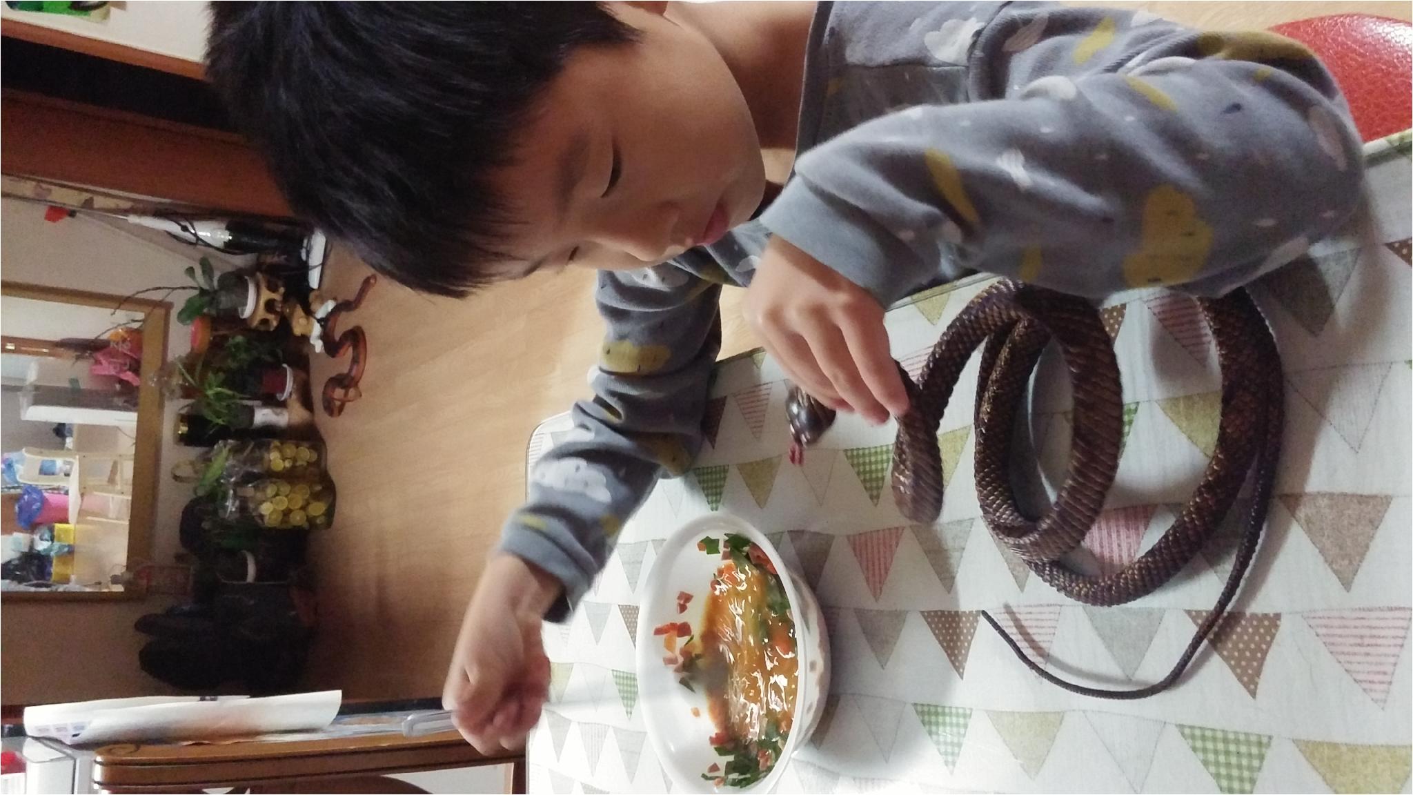뱀과 이야기하며 달걀을 풀어주네요.
