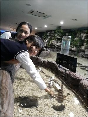20171010_160627.jpg