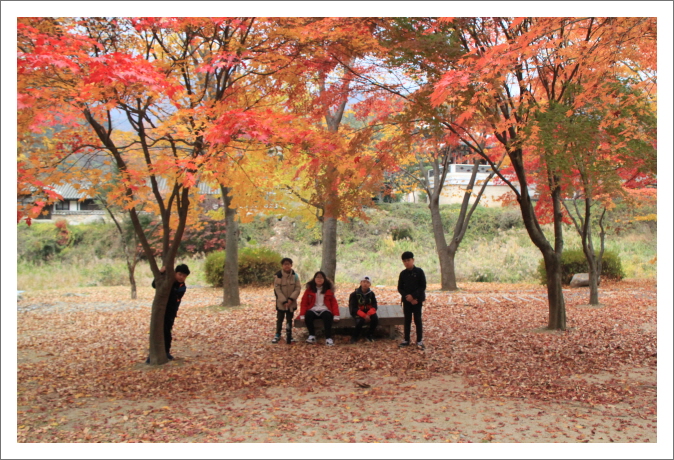 화려한 단풍을 배경으로...