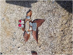 20171019_100718.jpg
