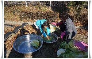 배추절이기~ (1).JPG