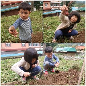 고구마1.jpg