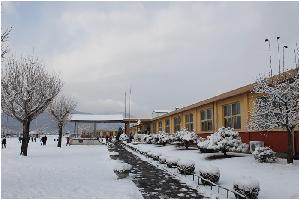 눈온 학교 (1).JPG