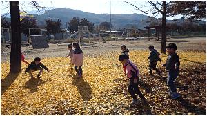1031 유치원 황금마을 (1).jpg
