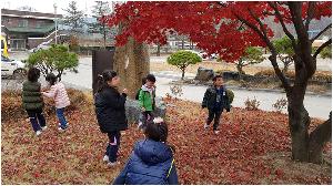 1110 가을 단풍잎과 놀아요 (1).jpg