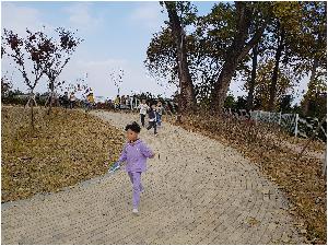 20171101_140221.jpg