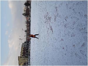 20171219_083608.jpg