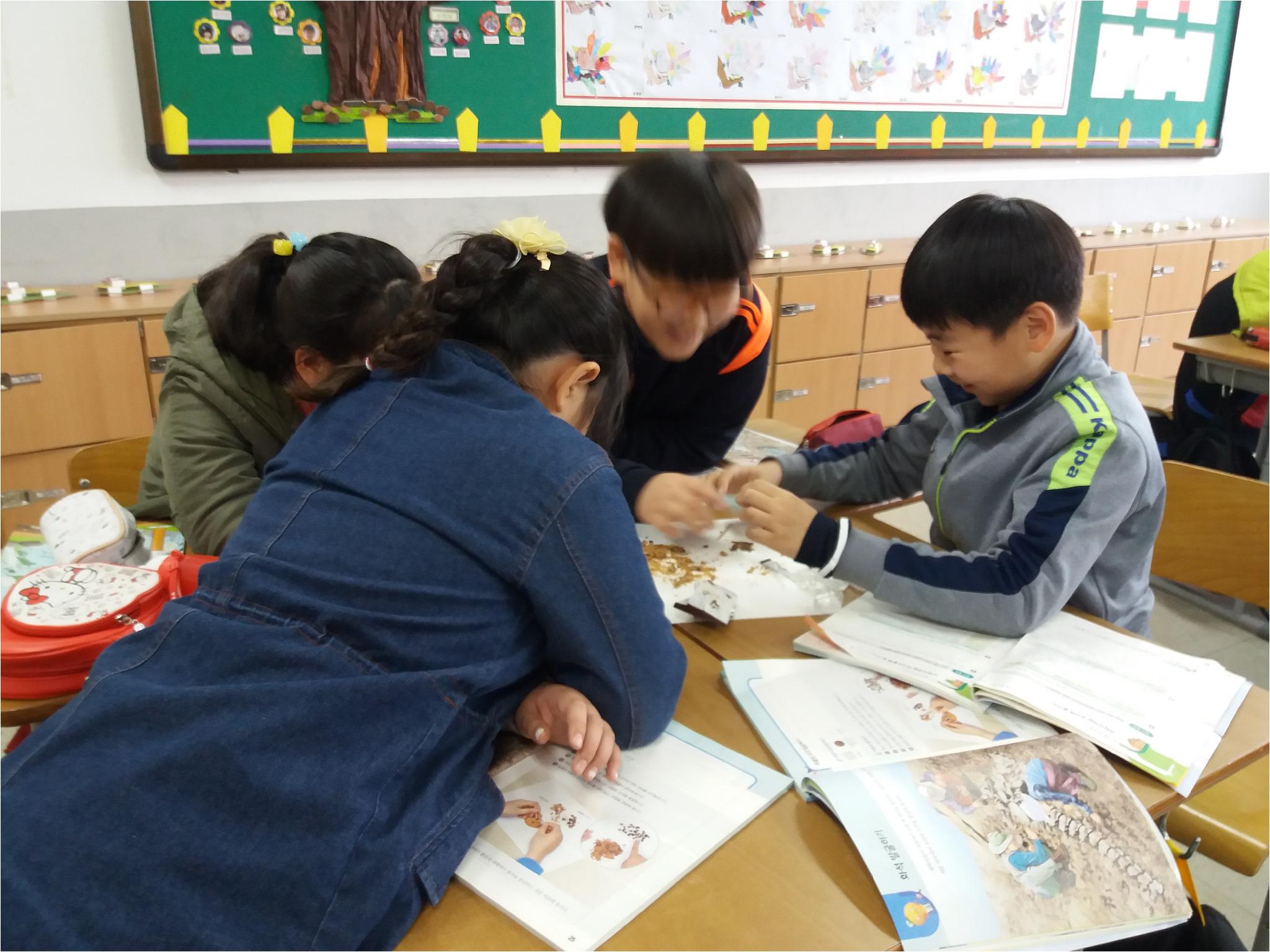과학(화석 발굴하기)지층에서 공룡 뼈 화석을 발굴하듯 과자에서 초콜릿 조각 발굴하기