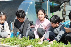 2018-03-14 꽃모종심기 (25).JPG