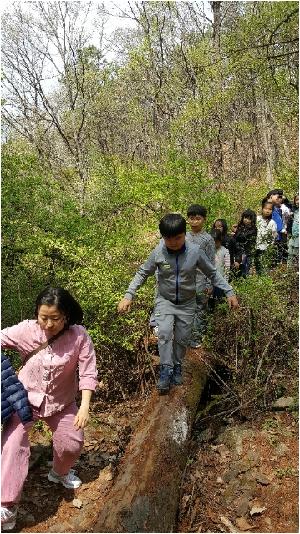 20180417_130549.jpg