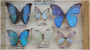 20180417_110513.jpg