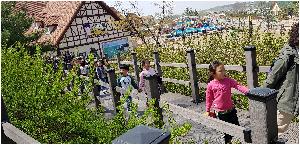 20180418_110714.jpg