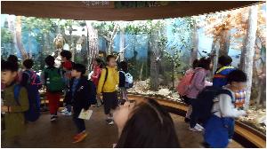 20180413_104346.jpg