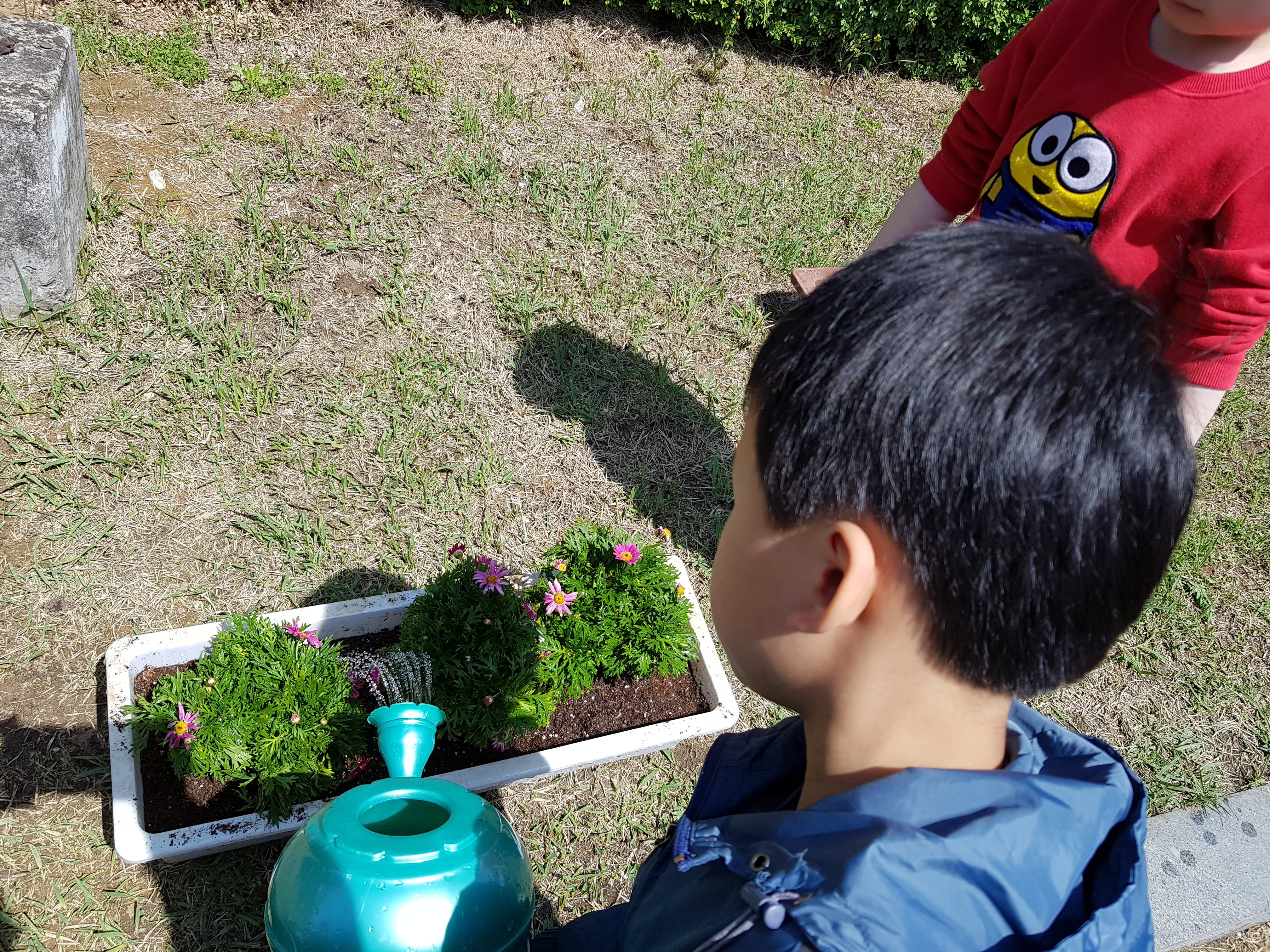 20180425_110122.jpg