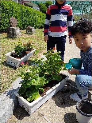 20180425_111237.jpg
