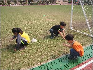 IMG_1245.JPG