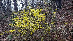 20180404_102148.jpg