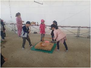 20180412_105718.jpg
